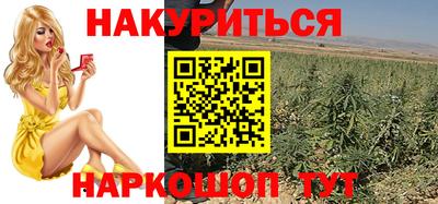 a pvp Можга