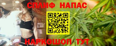 a pvp Можга