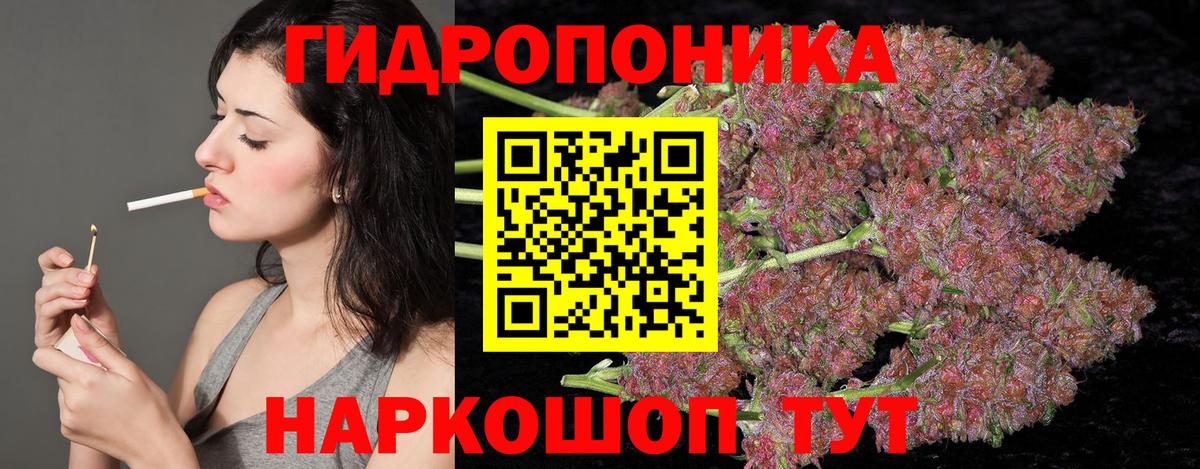 Канабис сатива  Вход с VPN  Янаул  Шишки марихуана семена  Шишки марихуана MAZAR  МАРИХУАНА планчик 